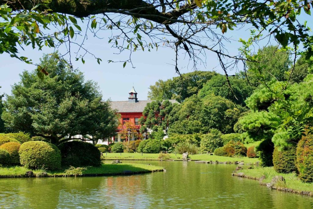 東京観光穴場：緑のオアシス、小石川植物園