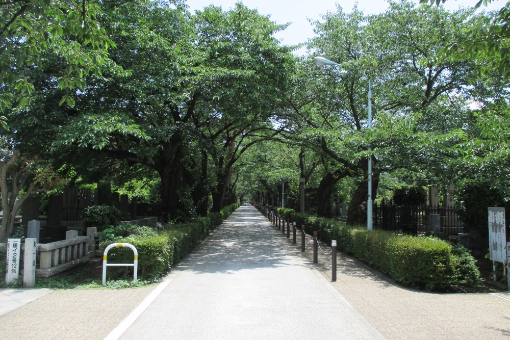 東京観光穴場：歴史と自然が融合する雑司ヶ谷霊園